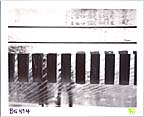 BG No.4