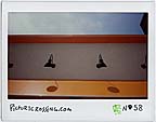 Picturecrossing No.58