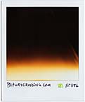 picturecrossing No.346