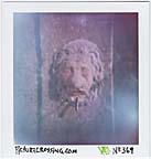 picturecrossing No.369