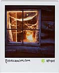 picturecrossing No.401