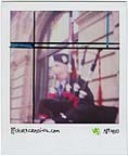 picturecrossing No.410