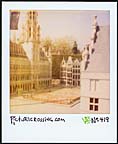 picturecrossing No.419