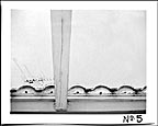 PX No. 5