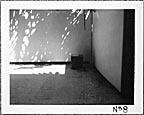 PX No. 8