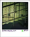 Picturecrossing No. 20